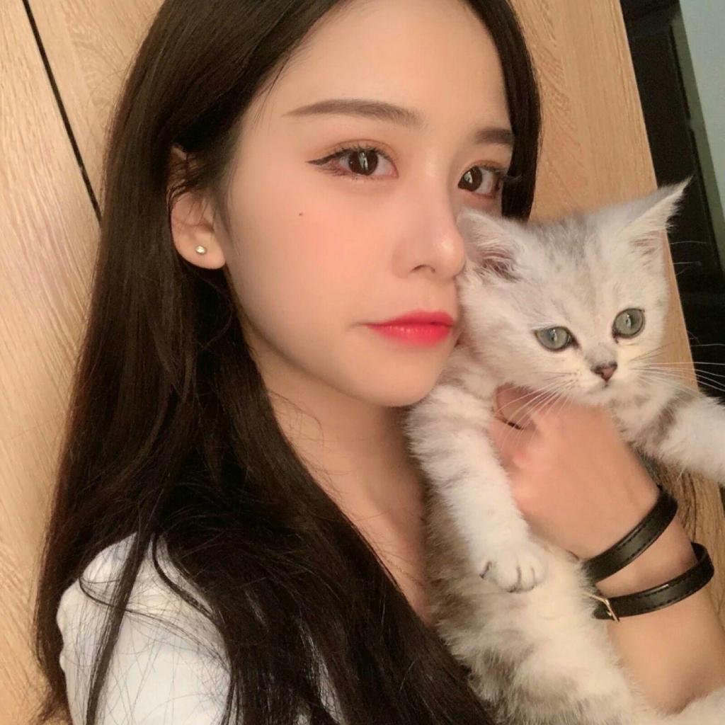 澳门正版资料大全app下载